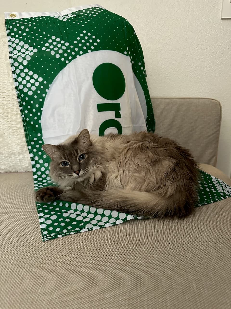 BlueBell was quick to claim Madison’s new company swag from Order.co for herself