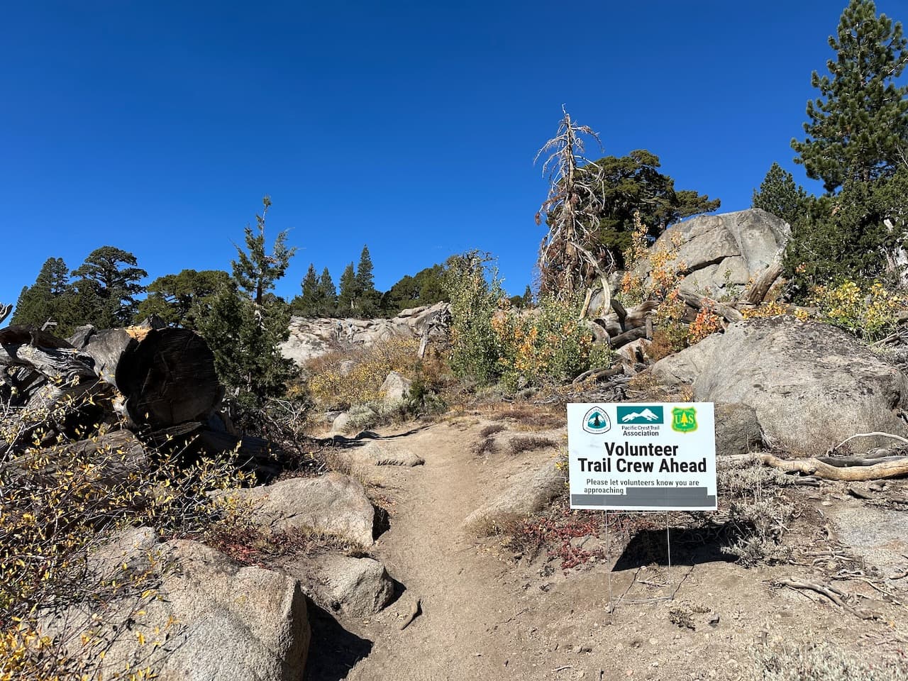 There is something exciting about coming back to a multi-day project to remember all the progress you made the day before